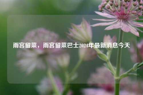 雨宫留菜，雨宫留菜巴士2024年最新消息今天