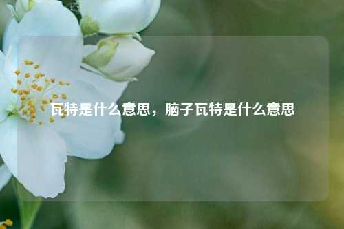 瓦特是什么意思，脑子瓦特是什么意思