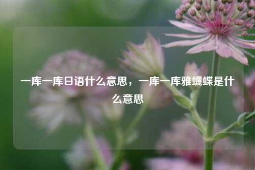 一库一库日语什么意思，一库一库雅蠛蝶是什么意思