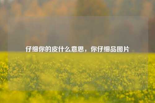 仔细你的皮什么意思，你仔细品图片