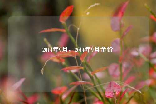 2014年9月，2014年9月金价