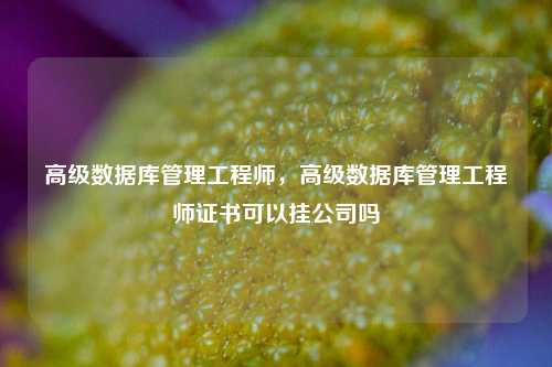 高级数据库管理工程师，高级数据库管理工程师证书可以挂公司吗