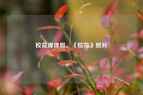 校花裸体照，《校花》照片