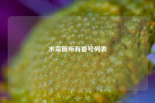 水菜丽所有番号列表